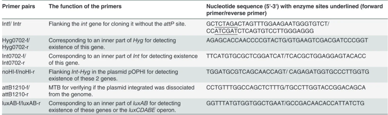 Table 3. DNA primers used in this study.