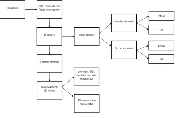 Figura 3. Representação do procedimento de intervenção efetuado na segunda fase do protocolo experimental