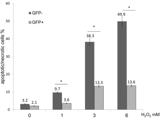 Figure 6. Evaluation of GRP78 overexpressing cells following H 2 O exposure. FACS analysis of GFP-negative and -positive cells labeling positive for Annexin V/PI following treatment with H 2 O 2 