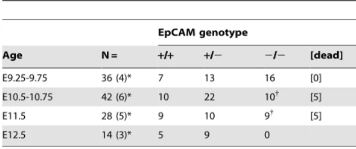 Figure 3. Developmental delay in EpCAM-deficient embryos. (A) Embryonic development in wild type, haplosufficient and EpCAM-deficient littermate embryos (E9.5)