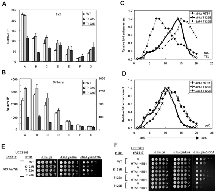 Figure 6. htb1-T122E dominantly impairs telomeric chromatin formation. (A–B) The effects of H2B C-terminal mutations on association of SIR proteins in telomeric regions