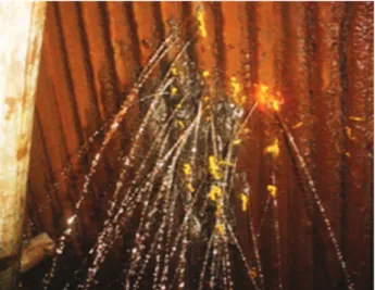 Figura 1. Foto do vazamento de água do feixes de tubos da parede  da coifa devido a furos gerados por desgate nos tubos.