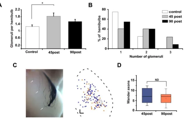 Figure 7A shows the investigation time for the different odorants 45 days after methimazole exposure and from age-matched control male mice