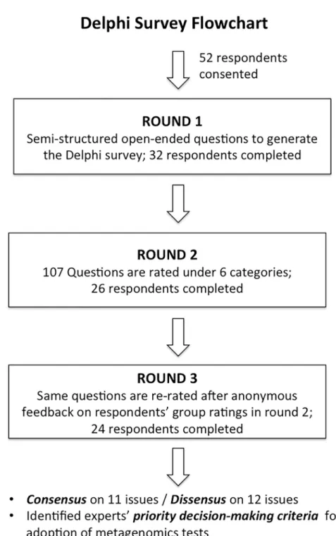 Fig 2. Delphi study flowchart.