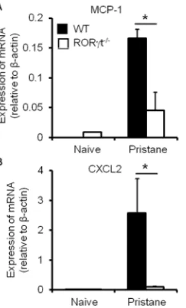 Figure 4. RORct deficiency reduces splenic macrophage expansion during pristane-induced inflammation