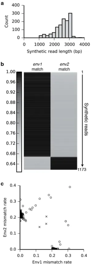 Fig 3. Individual assembly of full-length env genes from a mixture of two variants. (a) The length distribution of the synthetic long reads (minimum length 1 kb) shows assembly of full-length 3-kb env gene sequences