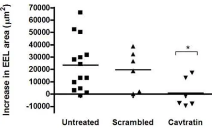 Figure 9. Cavtratin and Expansive Remodeling. Increase in EEL area (mm 2 ) of the left carotid arteries (contralateral arteries) after ligation of the right carotid artery in BALB/c (n = 14) (circles), BALB/c+scrambled (1.5 mg/kg/day) (n = 6) (squares) and