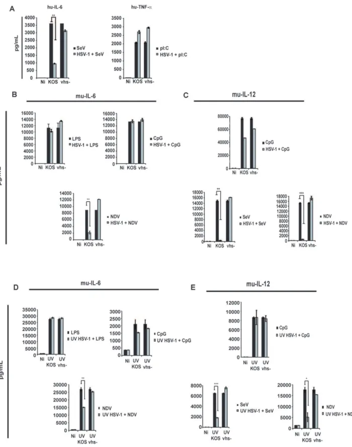 Figure 7. Vhs fails to block the activation of DCs due to TLR agonists. (a.) hu-cDCs were infected with either SeV at an MOI of 1.5 or treated with pI:C (250 ug/mL) for 6 hpi [black bars]; In parallel, hu-cDCs were infected with KOS and vhs- at an MOI of 5