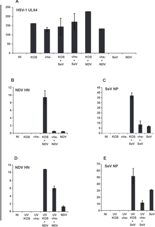 Figure 8. Higher expression of SeV and NDV specific genes during wild-type HSV-1 infection