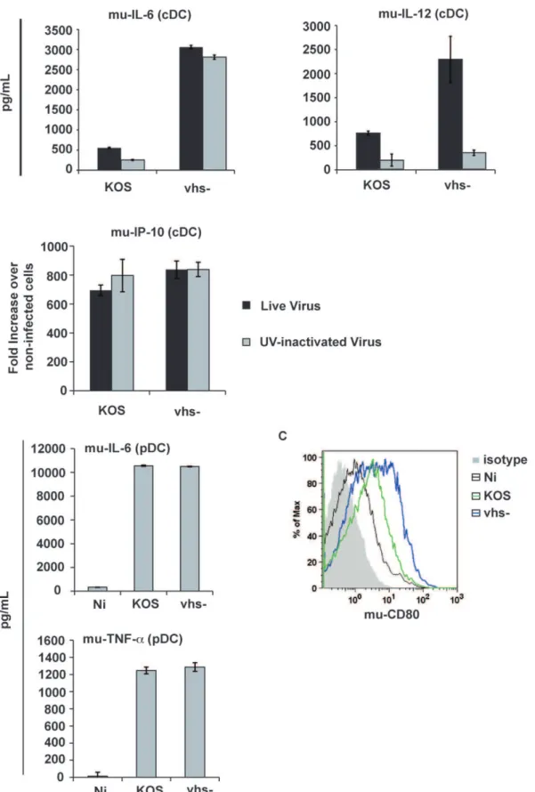 Figure 4. HSV-1 modulates the activation of murine-derived DCs similar to human-derived DCs