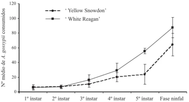 Fig. 1. Consumo médio de Aphis gossypii nos diferentes ínstares e na fase ninfal de Orius insidiosus em cultivares de crisântemo ‘White Reagan’ e ‘Yellow Snowdon’, 25 ± 1°C, UR de 70 ± 10% e fotofase de 12h.