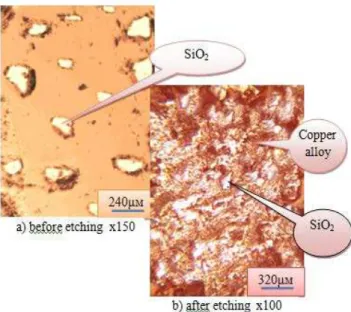 Figure 4.Microstructures  of the MMCs obtaining by the  second variant. 