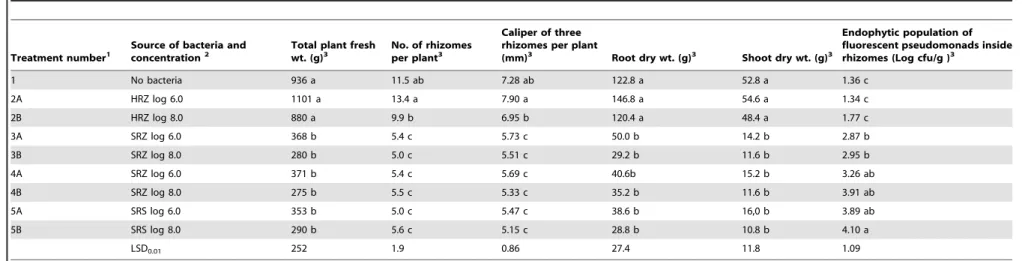 Table 4. Plant growth parameters and internal rhizome populations 17 months after inoculation with fluorescent pseudomonads.