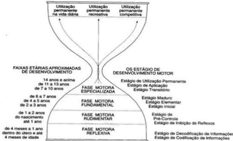 Figura 2 - Fases do desenvolvimento motor (GALLAHUE &amp; OZMUN, 2001)