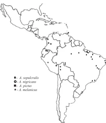 Fig. 306. Mapa de distribuição de parte das espécies do grupo A. mixtus: