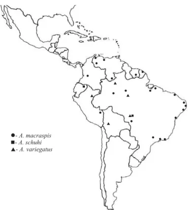 Fig. 310. Mapa de distribuição de parte das espécies do grupo A. mixtus: