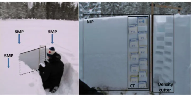 Figure 3. Left: snow-pit overview with the locations of the SnowMicroPen (SMP) measurements (arrows) surrounding the  pro-file wall (black rectangular)