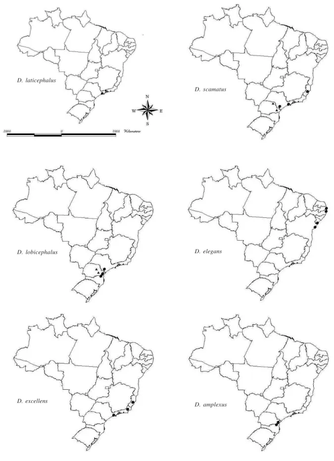 Fig. 58. Mapas demonstrando a distribuição de algumas espécies de Dissomphalus restrita a alguns subcentros dentro da Mata Atlântica Brasileira.
