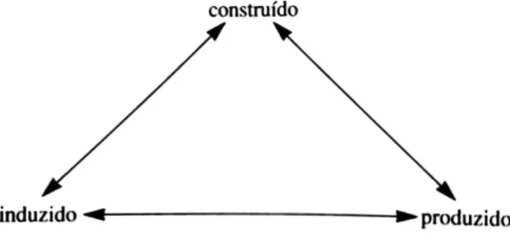 Figura 2 - Modelo proposto por Figari