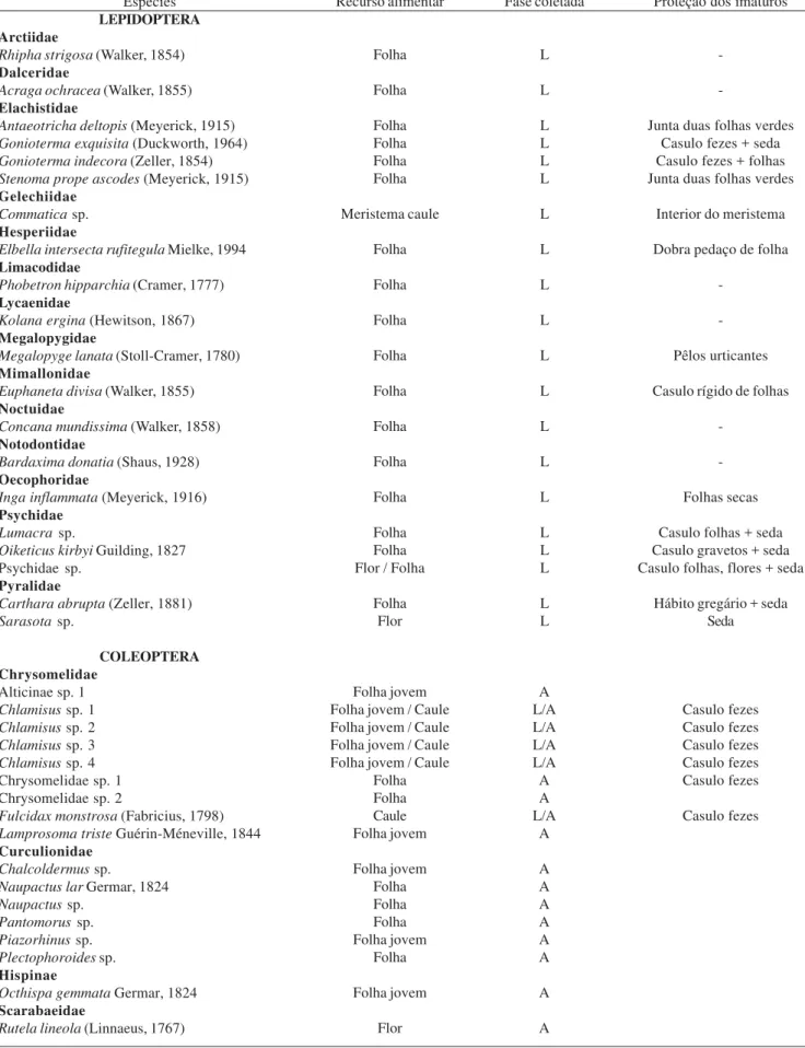 Tabela I. Lista de espécies associadas a Byrsonima sericea, mostrando os recursos que cada espécie utiliza da planta hospedeira, a fase em que os indivíduos foram coletados e o tipo de proteção usado pelos imaturos