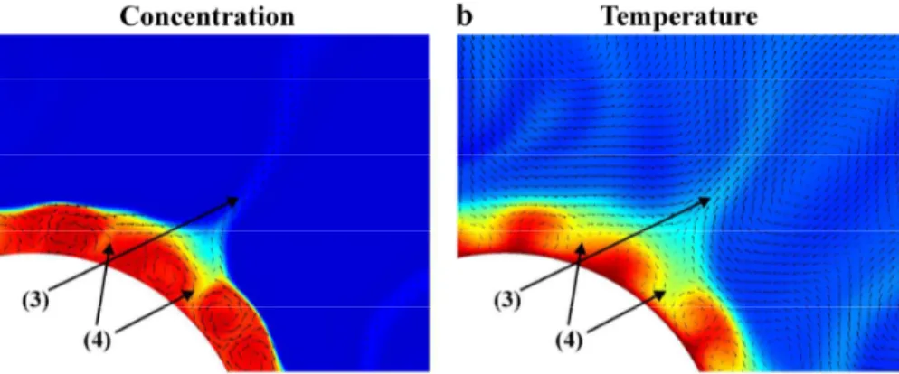 Figure 3. (a) Concentration of the dense material and (b) temperature field demonstrating the processes of (3) erosion and (4) dilution of the dense layer