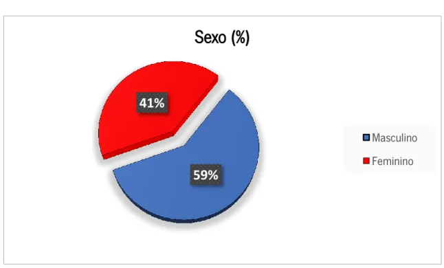 Gráfico 2 – Percentagem do Sexo dos Viajantes 