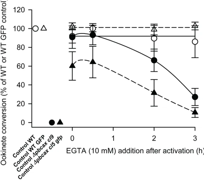 Figure 7. D pbcax parasite rescue with EGTA. Line graph illustrating ookinete conversion, measured at 24 h post-gametocyte activation, in wild- wild-type (WT, open circles: WT GFP, open triangles) and D pbcax cl9 (closed circles) and cl5 gfp (closed triang