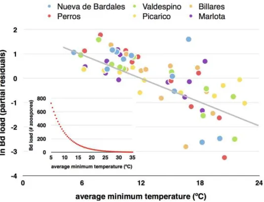 Fig 2. Average minimum water temperature and infection load of Batrachochytrium dendrobatidis.