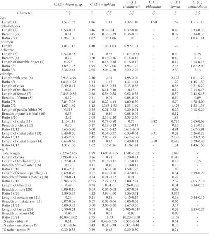 Table 1. Linear measurements (in millimeters) and morphometric ratios in Chthonius (Ephippiochthonius) rhizon n