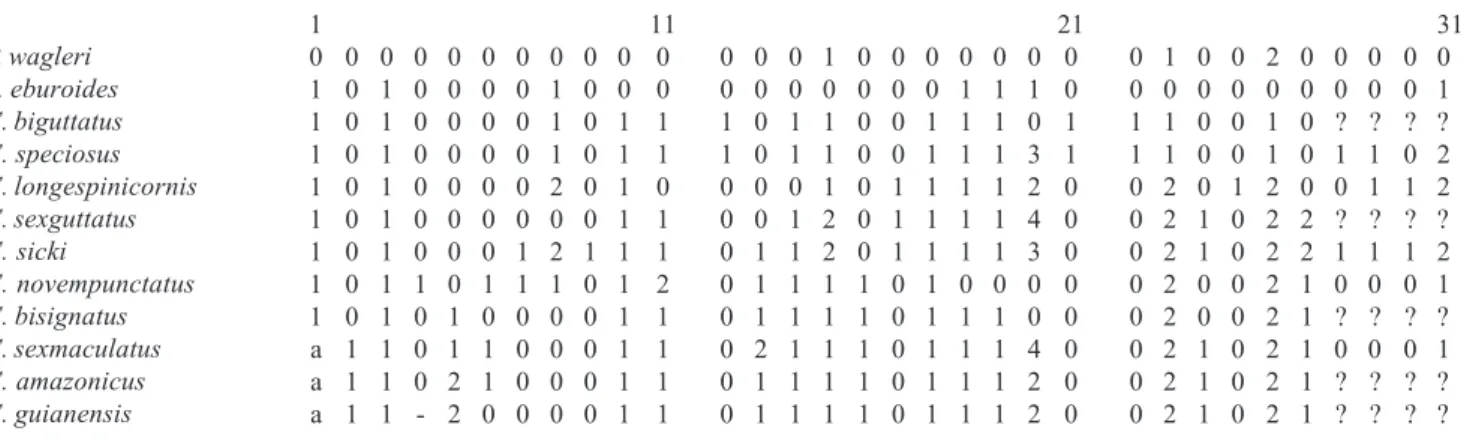Tabela I. Matriz de dados utilizados na análise cladística de Coccoderus. - = dados não comparáveis; ? = ausência de dados; a = 0 + - (polimorfismo).
