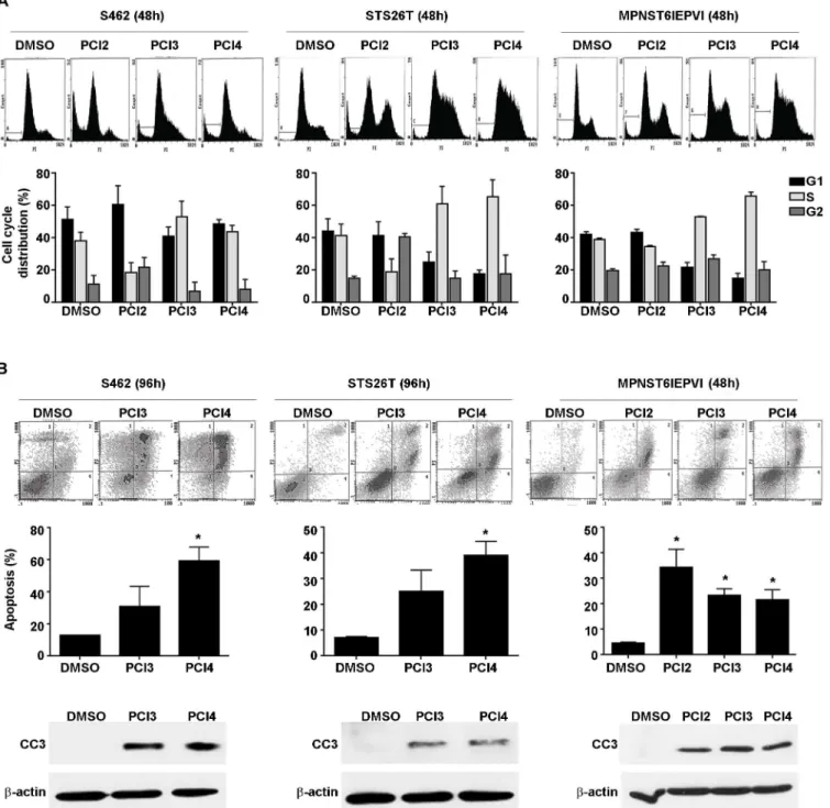 Fig 2. Effects of HDAC8 inhibition on MPNST cell cycle and apoptosis. A. PI staining/FACS analyses showing the effect of HDACis (PCI2 0.5μM/48h, PCI3/4 5μM/48h) on human and murine-derived MPNST cell cycle progression