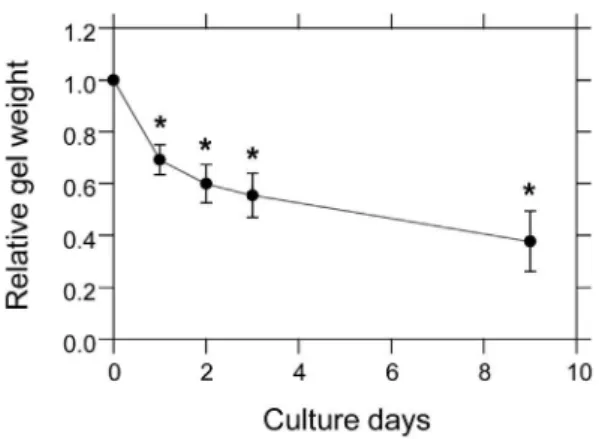 Figure 2. The contraction process of the cell-populated collagen gel. Gel contraction was evaluated by measuring gel weight.