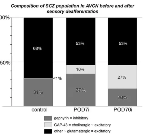 Figure 7. Composition of the population of SCZs in adult controls, by 7 and by 70 days following cochlear ablation