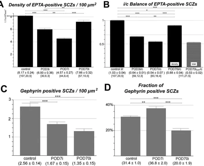 Figure 5. Quantification of EPTA profiles (all SCZs) and gephyrin positive profiles (inhibitory SCZs) before and at various times after cochlear ablation