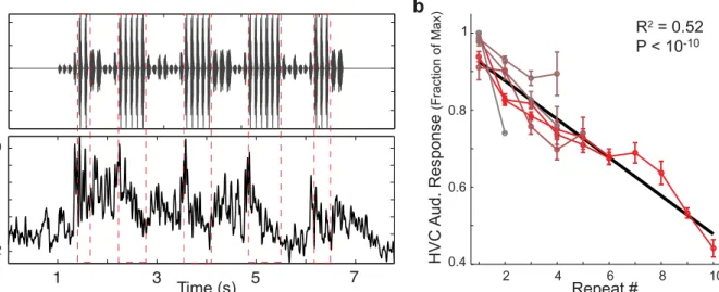 Fig 7. HVC auditory responses to repeated syllables gradually adapt. a: Example auditory recording from an HVC multi-unit site in response to playback of the BOS (bird ’ s own song) stimulus