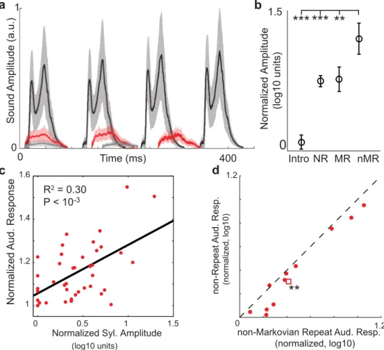 Fig 8. Non-Markovian repeated syllables are loudest and evoke the largest HVC auditory responses.