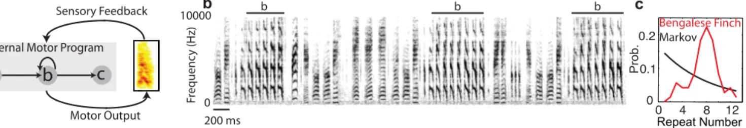 Fig 1. Bengalese finch song and the generation of sequences. a: Diagram of sensory-motor circuit for sequence generation