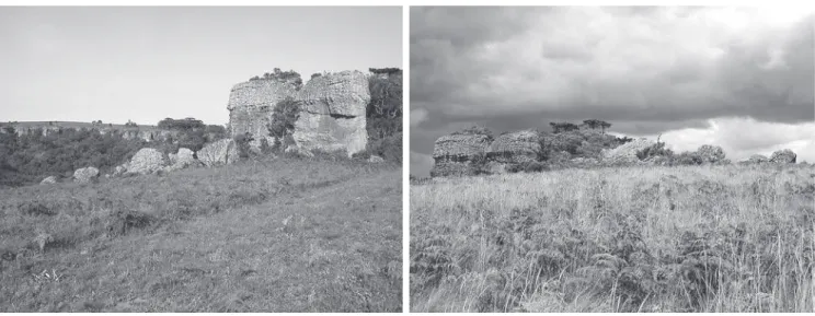 Fig. 1. Vistas parciais da área de estudo no Parque Estadual de Vila Velha. Em ambas, os blocos maiores de arenito são os mesmos