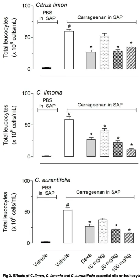 Fig 3. Effects of C . limon , C . limonia and C . aurantifolia essential oils on leukocyte migration into the subcutaneous air pouch (SAP)