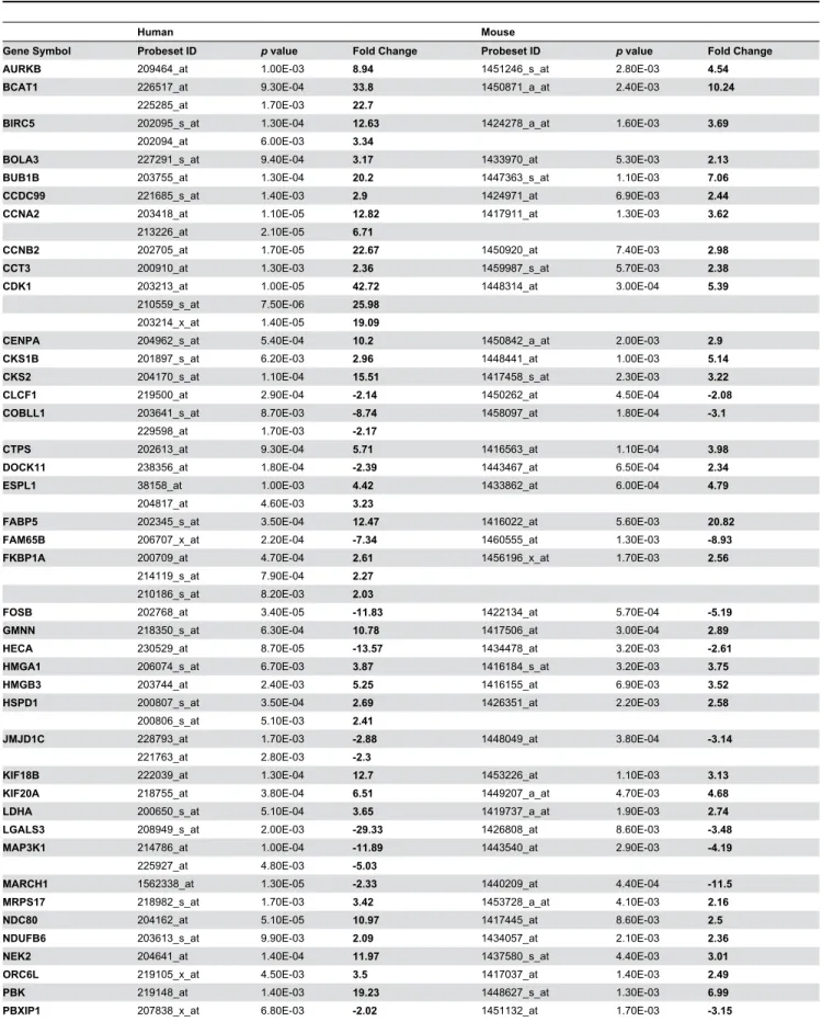 Table 1. Differentially expressed genes in human DLBCL and mouse iMycBCL, designated DMB genes.