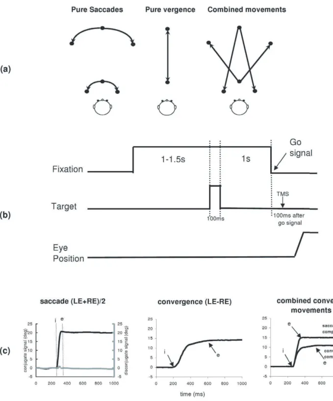 Figure 6. Mean values of mean velocity with standard error. (A) for saccades to left, saccades to right, divergence and convergence, (B) for combined convergent movements and (C) for combined divergent movements under the three experimental conditions: no-