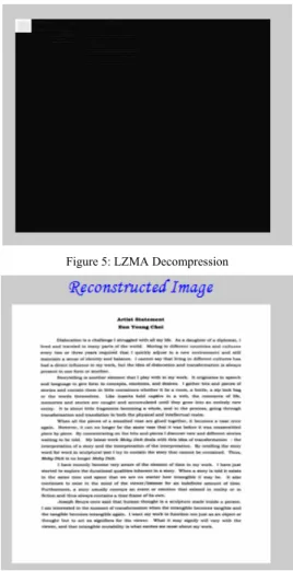 Figure 4: Wavelet transformed image 