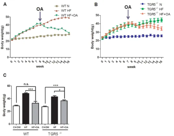 Fig 1. TGR5 mediated the suppressive effect of OA on obesity. (A, B) Changes of body weights of either WT or TGR5 -/- mice