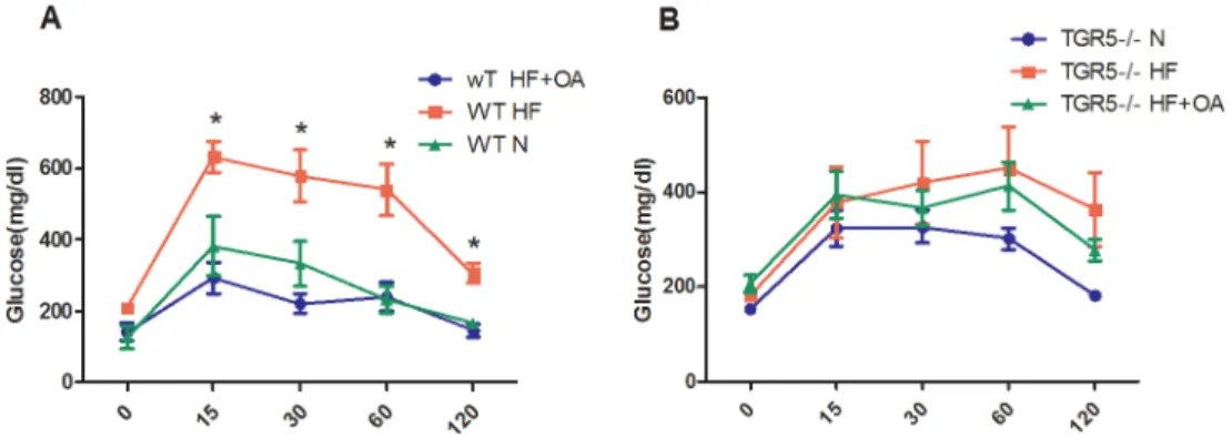 Fig 2. TGR5 mediated the effect of OA on improving glucose tolerance. (A, B) Glucose tolerance test on WT (A) and TGR5 -/- mice (B)
