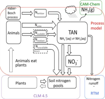 Figure 1. Schematic of the addition of the FAN (flow of agricultural nitrogen) process model to the CESM nitrogen cycle