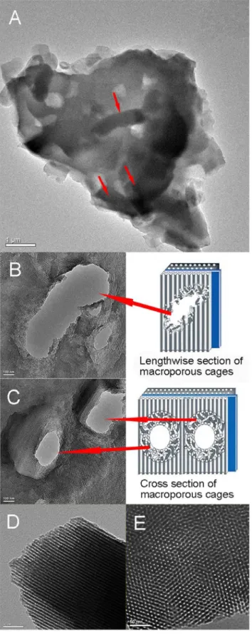 Figure 4. Nitrogen adsorption/desorption analysis. (A) shows the nitrogen adsorption-desorption isotherms of pure silica carrier, I-Z.