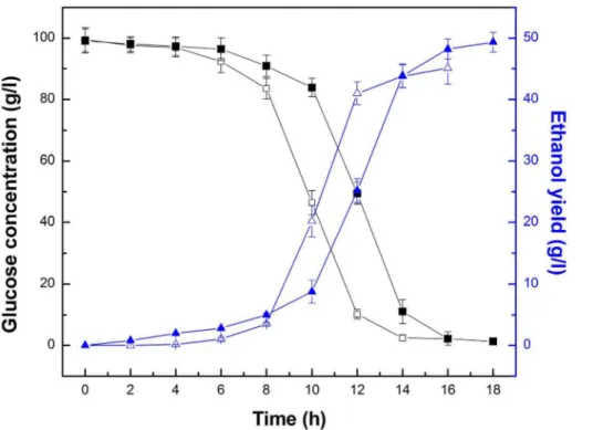 Figure 11. Time course of glucose consumption and ethanol production for free Z. mobilis and PI- Z
