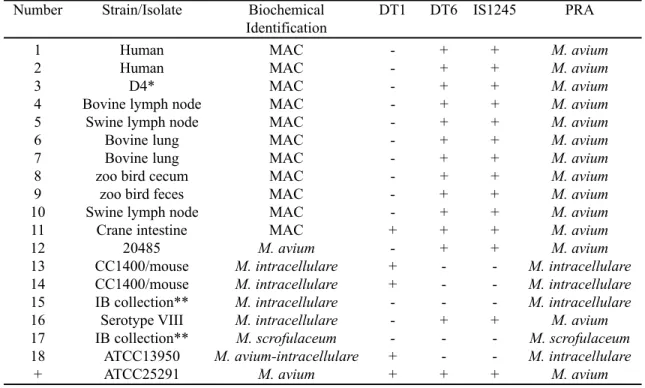 Table 2  Isolates and strains, PCR results and biochemical identification. + and  indicate positive and negative amplification by PCR, respectively