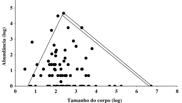 Fig. 1. Relação entre log n  da abundância e do tamanho médio do corpo de invertebrados do folhiço da Amazônia