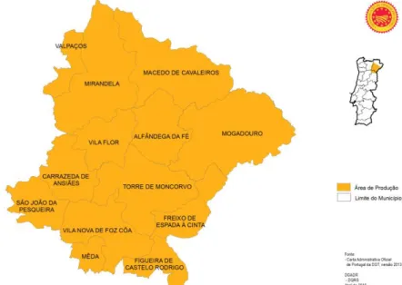 Fig. 16 – Mapa de cobertura da produção do queijo Terrincho DOP. 